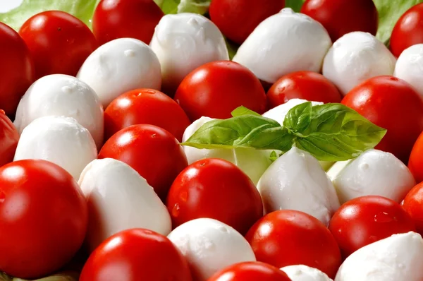 Caprese salade — Stock Photo, Image
