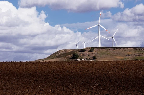 Windmühlen — Stockfoto