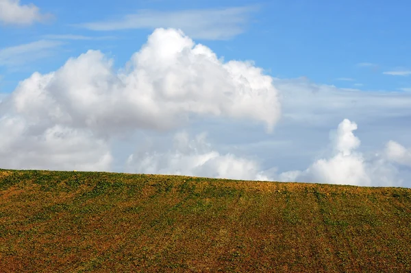 Molnigt landskap — Stockfoto