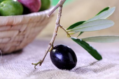 Sicilyalı Siyah Zeytin