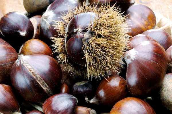 Brown chestnuts — Stock Photo, Image