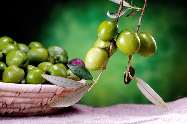 Group of green olives — Stock Photo, Image