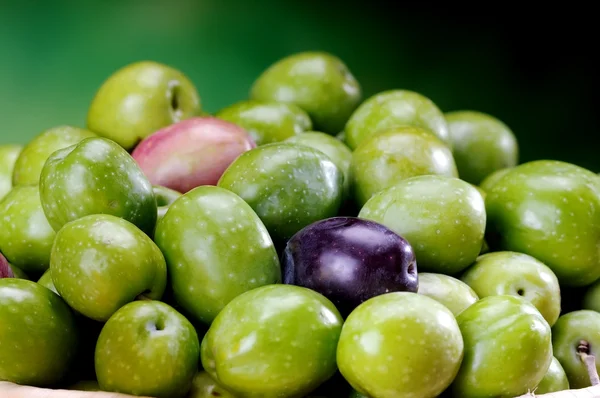 Black and green sicilian olives — Stock Photo, Image