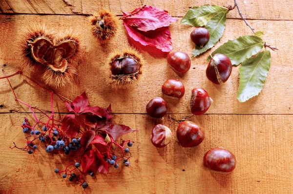 Chestnuts scattered on wood boards — Stock Photo, Image