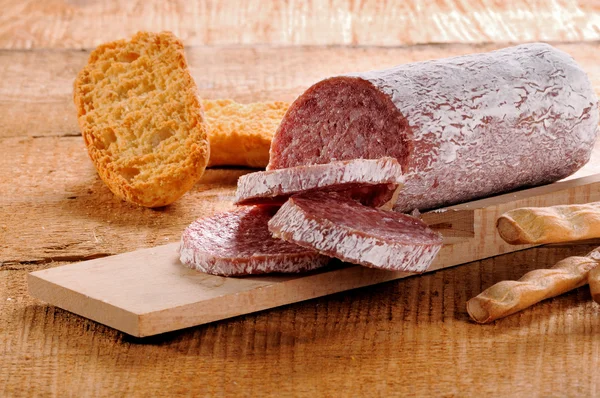 Seasoned salami and grissini — Stock Photo, Image