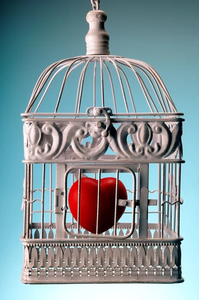 Heart in a cage — Stock Photo, Image