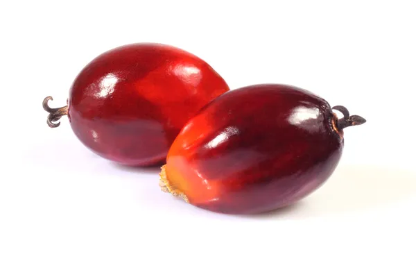 Oil palm fruit — Stock Photo, Image