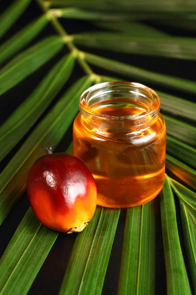 Huile de palme et huile de cuisson — Photo