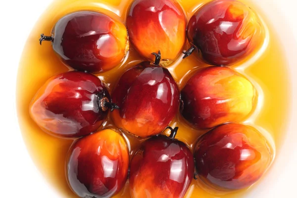 Oil palm fruit and cooking oil — Stock Photo, Image