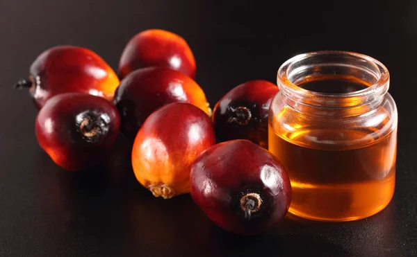 Fruta de palma y aceite de cocina — Foto de Stock