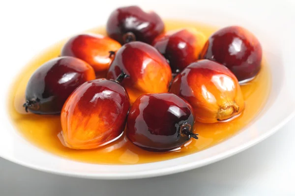 Oil palm fruit and cooking oil — Stock Photo, Image