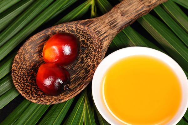 Palmolie vruchten en bakolie — Stockfoto