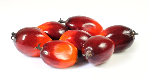 Oil palm fruit — Stock Photo, Image