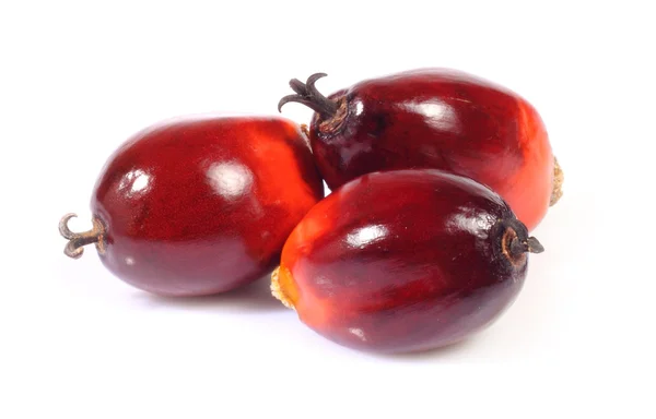 Oil palm fruit — Stock Photo, Image