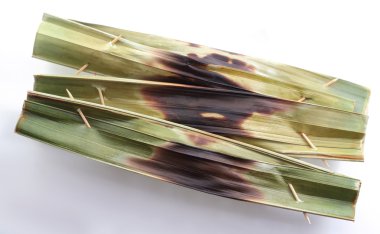 otak otak