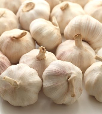sarımsak