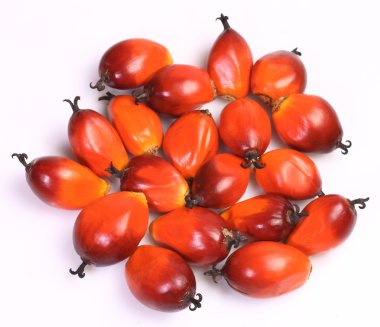 palmiye yağı meyve