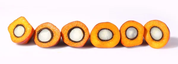 Пальмовые плоды — стоковое фото
