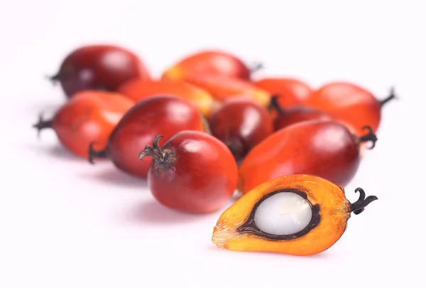 Oil palm fruit — Stock Photo, Image