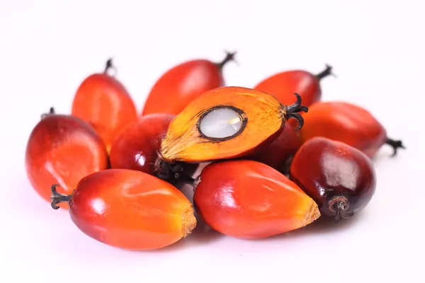 palmiye yağı meyve