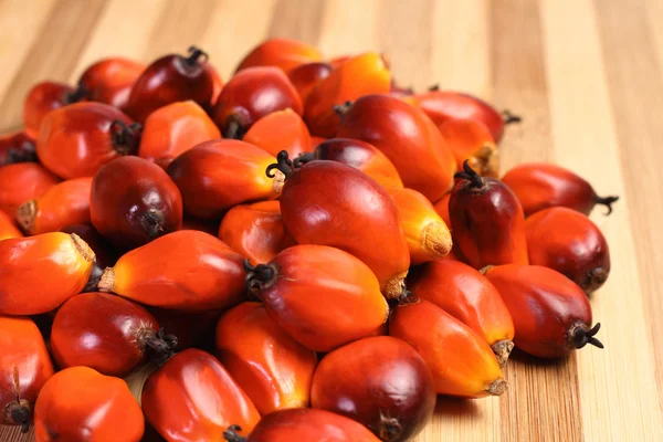 Oil palm fruit — Stock Photo, Image