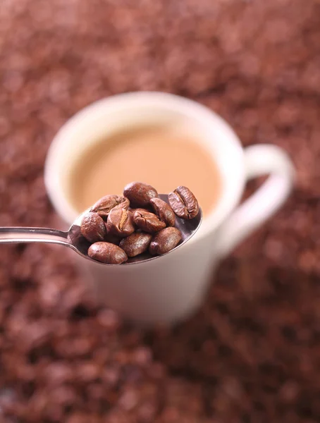 Heißer Kaffee — Stockfoto