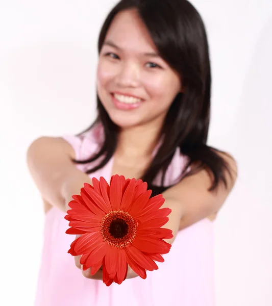 Dame mit Gerbera-Blume — Stockfoto