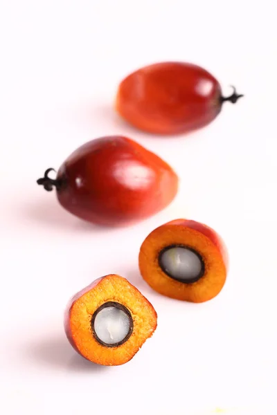 Пальмовые плоды — стоковое фото