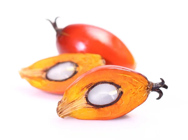 Oil palm fruit — Stock Photo, Image