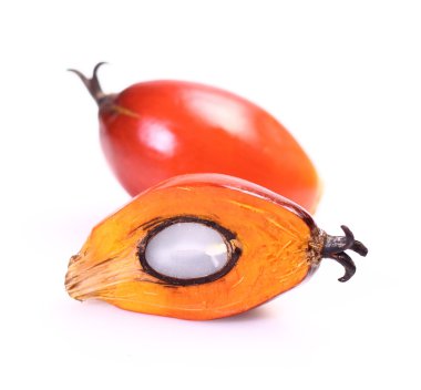 palmiye yağı meyve