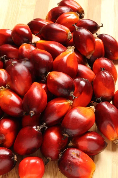 Owoc palmy olejowej — Zdjęcie stockowe