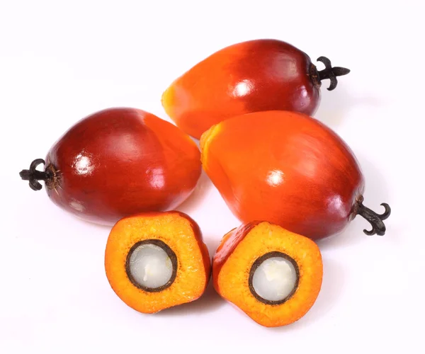 Palmolie vruchten — Stockfoto