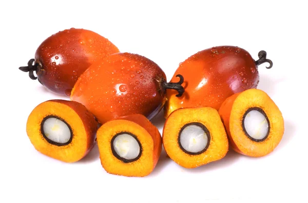 Oil palm fruit — Stock Photo, Image