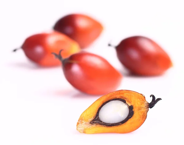 Oil palm fruit — Stock Photo, Image