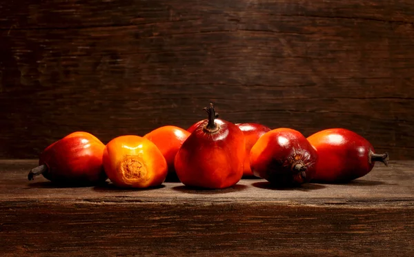 Oil palm fruit — Stock Photo, Image