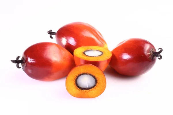 palmiye yağı meyve