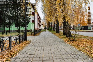 Sonbahar parkında patika. Sonbahar manzarası.