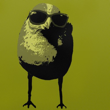 pop sanat tarzı kuş güneş gözlüğü takıyor