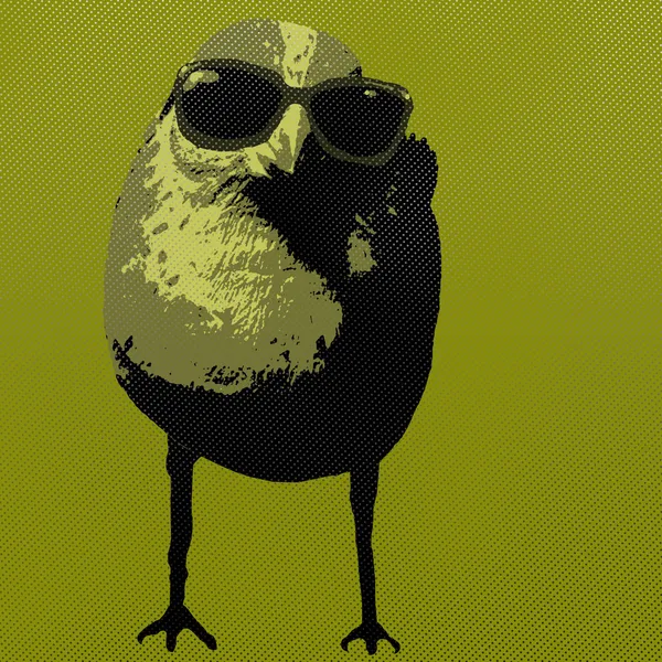 Pop Art Style Bird Wearing Sunglasses — Stock Image Pop Art Style Bird Wearing Sunglasses Stock Image