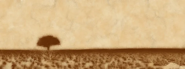 大草原のツリーをソロします。 ロイヤリティフリーのストック画像