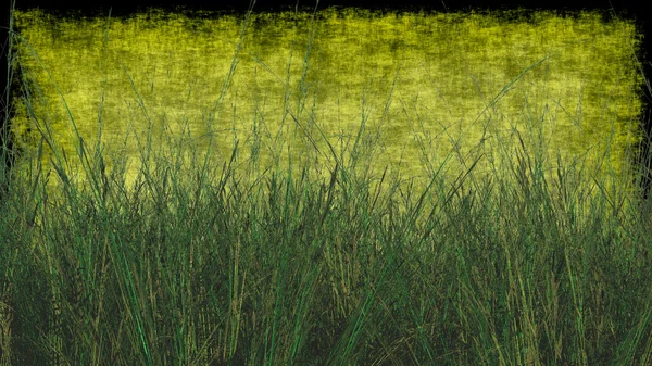 Pšeničné trávy s texturou pozadí v zelené — Stock fotografie