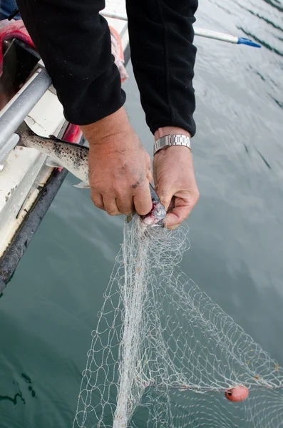 Rete da pesca — Foto Stock