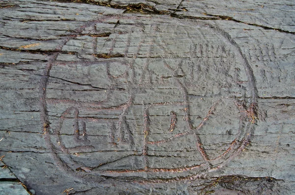 Petroglifler — Stok fotoğraf