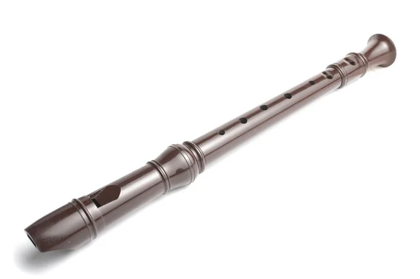 Flauta gravador de plástico marrom — Fotografia de Stock