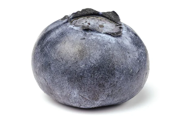 Single blueberry — Stock Photo, Image