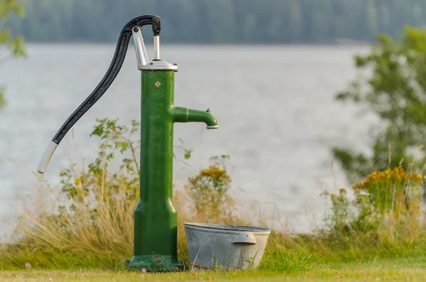 Gimpelweibchen — Stockfoto