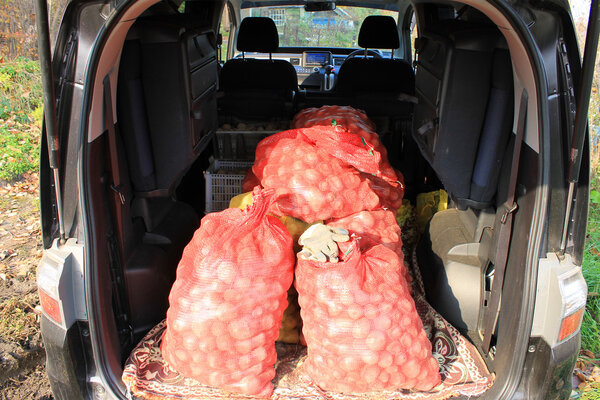 Potatoes in the car