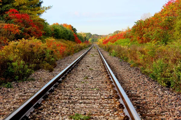 Train tracks — Stock Photo, Image