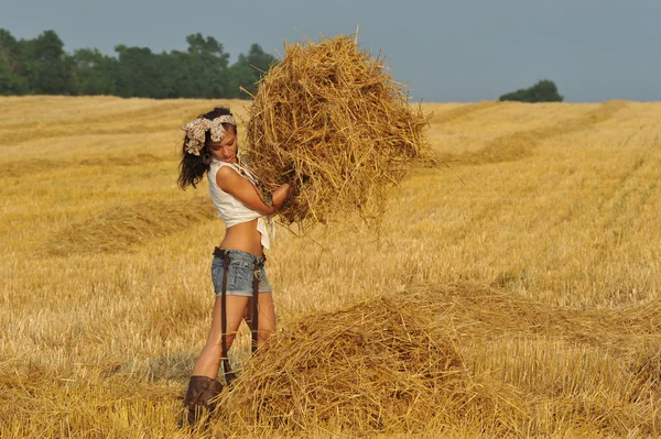 Harvesting — Stock Photo, Image