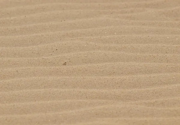 Het zand op het strand — Stockfoto